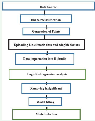 Figure 2 Steps taken for logistical regression analysis and model selection..
