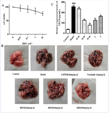 The effect of HDO on melanoma lung metastasis In vivo