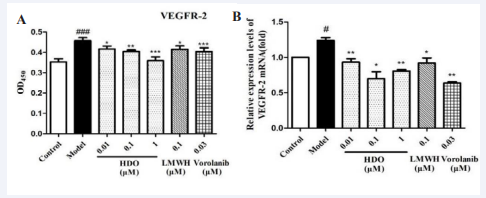 The effect of HDO on VEGFR-2 of HUVEC detected by Cell- based ELISA and qPCR