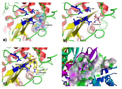 Figure 3 Activesite of MRSA-PBP3 with ligand: a) Validation of MVD with Cefotaxime. RMSD between crystal pose and docked pose is 1.02 Å; b) Penicillin G, reference molecule, is shown in the active site of PBP3 to compare the docking scores of the other beta-lactam inhibitors; c) Ceflolozane, top-ranked molecule in the docking study, is shown in the active site of PBP3 along with its key residues; d) H-bond donor (Pink) and acceptor (Green) of cavity is seen around the top ranked molecule Ceflozane.