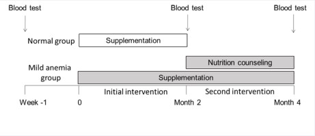Figure 1 Study design.