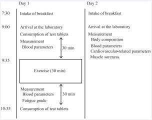Figure 1 Schematic illustration of the randomized placebo-controlled double blinded trial schedule.