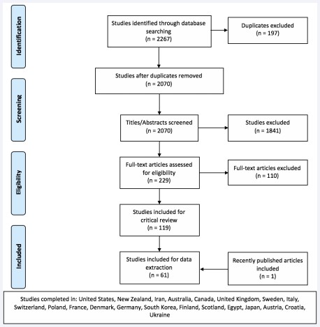 Figure 1 PRISMA flow chart.