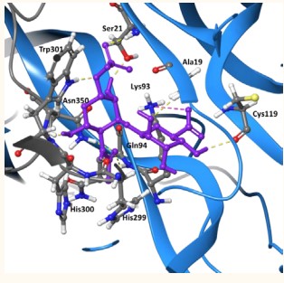 Figure 4 NT-4(blue)/TrkB(grey) in complex with the lead compound (21873177 stick representation in purple). Interactions are shown in dashed lines; H-bond (yellow); salt bridge (pink).Docking score -9.63 kcal/mol.