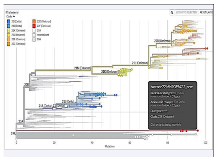 Nextclade based Phylogenetic Tree created using Sequences  data during the study period in Sri Lanka.