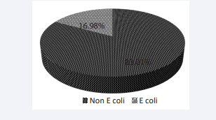 Pie chart showing proportion of E. coli in cow milk with SCM.