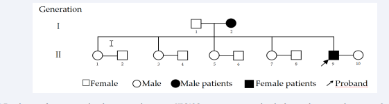 Family tree of a patient with a chromosomal recessive VPS13C gene mutation, with only the pre-documented patient in 2 generations