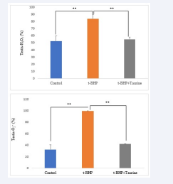 Status of ROS measured as H2 O2  and O2 •- levels (measured using  DCFH and DHE) in testis treated with t-BHP and t-BHP+Taurine groups  compared to control group by flow-cytometry. (Data analyzed by Mann- Whitney  test, Error bar: STDV)