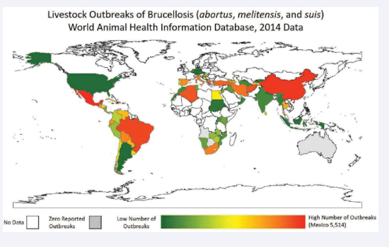 Heat map of Brucellosis outbreaks in livestock - WAHIS 2014 [32].