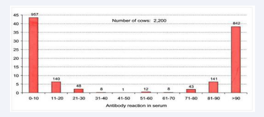 Distribution of blocking antibody ELISA reactions from screening examinations of serum from all 2200 cows in 36 dairy and 77 non-dairy herds on the  island of Samsø performed 1992. From [11].