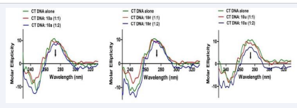 CD spectra of compounds 10a, 10e and 10u with CT-DNA in the absence and presence of increasing amounts of test conjugates. In CD  experiment, the concentration of CT DNA was kept constant and the test conjugates were added at 1:1 and 1:2 ratios to find the changes in the  conformation of CT-DNA with the interaction of test conjugates.