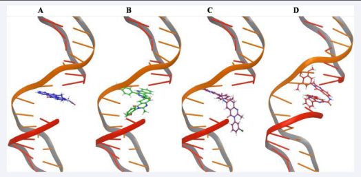 Binding poses of co-crystal-indenoisoquinoline (A), compounds 10a (B), 10e (C) and 10u (D) with the human DNA showing their  intercalation.