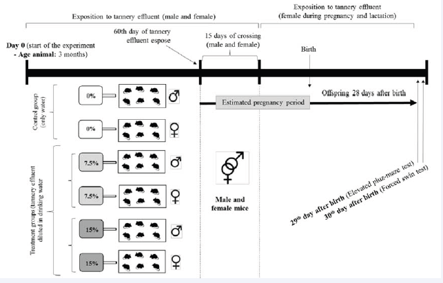  Temporal distribution of the experiment and realized analysis
