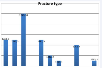 Case distribution according to fracture type