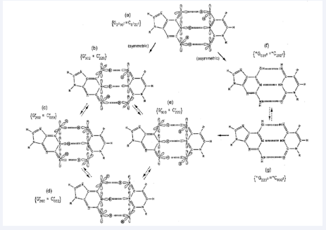 Distribution of entangled proton qubit states at a G?-C? (symmetric) or *G-*C (asymmetric) superposition site. Symmetric, asymmetric and second asymmetric (unlabeled) channels (?) by which metastable keto?amino G?C protons populate enol and imine entangled proton qubit states. Dashed arrows identify pathways for quantum oscillation of enol and imine proton qubits. Approximate electronic structures for hydrogen bond end groups and corresponding proton positions are shown for the metastable keto-amino duplex (a) and for enol and imine entangled proton qubit states, G’-C’ (b-e). Electron lone-pairs are represented by double dots, :, and a proton by a circled H. Proton states are specified by a compact notation, using letters G, C, A, T for DNA bases with 2’s and 0’s identifying electron lone-pairs and protons, respectively, donated to the hydrogen bond by – from left to right – the 6?carbon side chain, the ring nitrogen and the 2?carbon side chain. Superscripts identify the component at the outside position (in major and minor groves) as either an amino group proton, designated by 00 , or a keto group electron lone-pair, indicated by 22 . Superscripts are suppressed for enol and imine groups.