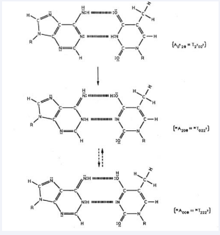 Pathway for metastable keto-amino. A-T protons to populate reduced energy enol and imine proton qubit states. Dashed arrows indicate proton oscillatory pathway for enol and imine proton qubit *A-*T states. Notation is given in Fig. 2 legend. The # symbol indicates the position is occupied by ordinary hydrogen unsuitable for hydrogen bonding.