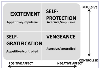 Figure 1. The quadripartite (2×2) violence typology. The intersection of  impulsiveness (vs. control/premeditation) and affect (positive vs. negative) yields  4 distinct types of violence characterised by motives of excitement seeking and  self-gratification (both associated with positive affect) and revenge and selfprotection (both associated with negative affec