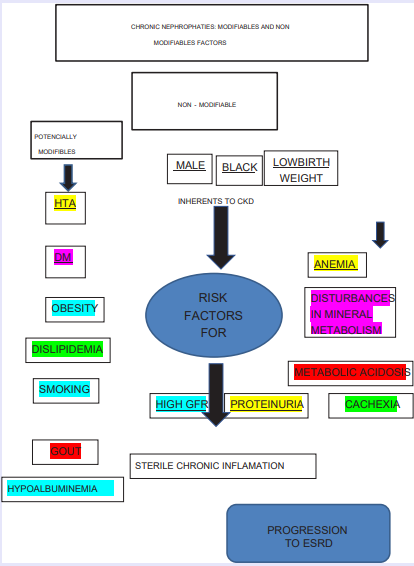 Chronic Nephrophaties: Modifiables And Non Modifiables Factors.