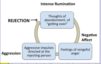 Figure 2. An emotional cascade, initiated by rejection, leads to rumination which,  through a positive feedback loop, serves to increase the intensity of the negative  emotion (feelings of vengeance). A progressively worsening aversive emotional and  cognitive experience is generated that the individual finds difficult to terminate.