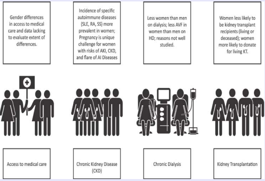 Sex differences throughout the continuum of CKD care. Abbreviations: SLE: Systemic Lupus Erythematosus; RA: Rheumatoid Arthritis; SS: Systemic Scleroderma; AKI: Acute Kidney Injury; CKD: Chronic  Kidney Disease; AI: Autoimmune; AVF: Arteriovenous Fistula; HD: Hemodialysis; KT: Kidney Transplant