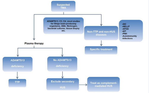 A patient with thrombocytopenia and intravascular hemolysis should be suspected as TMA, although TMA is a pathological definition.  After a careful exclusion of non-TTP and non-HUS diseases, patients should be empirically treated with plasma infusion or plasmapheresis if blood  is drawn for ADAMTS13 studies. More than %10 of ADAMTS13 activity and no detectable ADAMTS13 inhibitor cautiously exclude TTP. If secondary  causes of HUS such as shiga toxin-producing organism infections, suspicious drug exposure cannot be documented, patients are presumed to have  complement-mediated HUS, especially if genetic tests indicate complement dysregulation. (ADAMTS13: A Disintegrin and Metalloproteinase with a  Thrombospondin Type 1 Motif, Member 13; ANA: Anti-Nuclear Antibody; HUS: Hemolytic Uremic Syndrome; TTP: Thrombotic Thrombocytopenic  Purpura; DIC: Disseminated Intravascular Coagulation; HELLP: Hemolysis, Elevated Liver Enzymes, Low Platelet Levels; APAS: Anti-Phospholipid  Antibody Syndrome; HIT: Heparin-Induced Thrombocytopenia; PNH: Paroxysmal Nocturnal Hemoglobinuria)