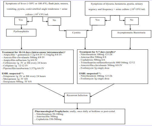 Empiric treatment for urinary tract infections in pregnant women. * The choice between these agents should be individualized and based on patient allergy and compliance history, local practice patterns, local  community resistance prevalence, availability, cost, and patient and provider threshold for failure. ** Antibiotic treatment should be tailored to culture results. Abbreviations: IV: Intravenous; IM: Intramuscular; CFU: Colony- Forming Units; ESBL: Extended-Spectrum Beta-Lactamase (ESBL)-Producing  Bacteria