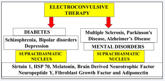 Electroconvulsive therapy stimulation (dose/frequency) should avoid heat stress and complete inactivation of the heat shock gene Sirtuin 1 and the suprachiasmatic nucleus relevant to mental disorders in diabetes and neurodegenerative diseases. Electroconvulsive therapy require assessment for SCN function with relevance to neuron death (mitochondrial apoptosis). ECT therapeutic technology should involve screening tests for Sirtuin 1 regulated proteins and hormones such as HSP 70, melatonin, brain derived neurotrophic factor, neuropeptide Y, fibroblast growth factor and adiponectin.