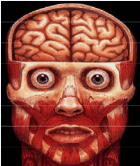 Human brain that is an organ that serves as the center of the nervous system.