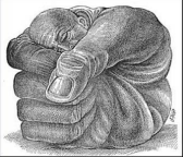 Fingers that are organs of manipulation and sensation
