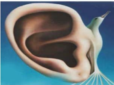 The Ear painted by Salvador Dali (1904-1989)