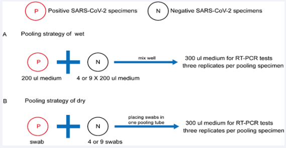 Figure 1 Schematic illustrates the experimental design of the pooling strategies. (A) The wet pooling strategy of 5 or 10 individual specimens. (B) The dry pooling strategy of 5 or 10 swabs from individual patients.