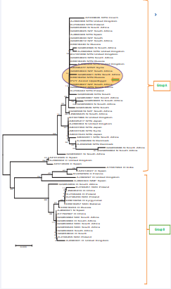 Neighbor-Joining tree constructed from nucleotide sequences of coat protein genes of PVY isolate from Upper Egypt ((PVY-Assiut) and 69 worldwide isolates.