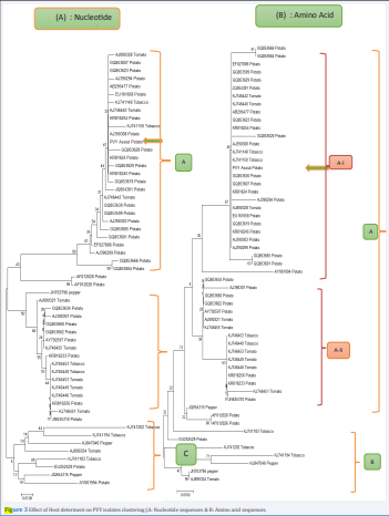 Effect of Host determent on PVY isolates clustering (A: Nucleotide sequences & B: Amino acid sequences