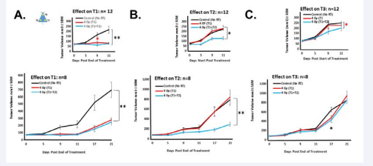 Figure 2 Evaluation of radiation booster shot in a mouse pancreatic cancer syngeneic model. Panc02 cells were injected s.c. in the flanks of immuno competent C57BL/6 mice and treated as indicated in Figure 1. Tumor volumes were measured by caliper at the indicated intervals and expressed as Tumor volume ± standard error of the mean (SEM). Black line represents Group 1 (No radiation), red line represents Group 2 (mice irradiated to the T1 tumor) and blue line represents Group 3 (mice irradiated to the T1 and T2 tumors). Measurements were performed on the T1 (A), T2 (B) and T3 (C) tumors of 8 mice up to 21 days post end of treatments. Insets: measurements performed on the initial 12 mice up to 11 days post end of treatments. Four mice per group were sacrificed on day 16 for blood, tumors and lymph nodes collections. * p<0.05, **p<0.005 one-way ANOVA; * p<0.05 Student’s paired t-test.
