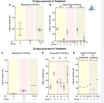 Figure 5 MDSCs (Gr1+CD11b+) cells in the blood, tumors and Lymph nodes(LN) sixteen (A-B) and twenty two (C-E) days post end of treatment. Group 1 no radiation, Group 2 radiation to the T1 tumor, Group 3 radiation to the T1 and T2 tumors. T1: right tumor, T2: left tumor, T3: back tumor.