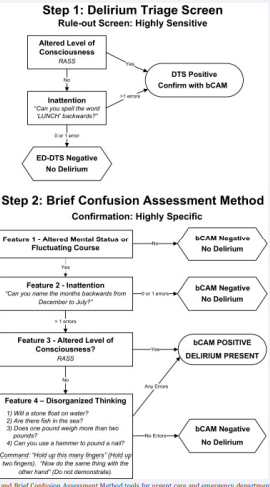The Delirium Triage Screen and Brief Confusion Assessment Method tools for urgent care and emergency department patients (Han, Wilson, Vasilevskis et al., 2013).