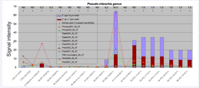 Figure 1 Comparison of microarray signals for Pseudo-nitzschia spp. with cell counts for two size categories and mussel toxicity from the Galician  Rias in Vigo, Spain. Bars = cell counts. Lines over the bars are probe signal intensities. Mussel toxicity is expressed across the top of the graphs. Data  courtesy of Y. Pazos
