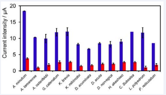 Figure 3 Current intensity of 13 toxic algal species tested under  optimal conditions. The current intensities correspond to positive  target in blue (synthetic DNA) and negative controls in red (nontarget DNA), Reproduced courtesy of Elsevier [54].