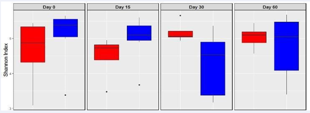 Shannon-Wiener diversity index of Bifidobacteria (based on Illumina sequences) from subjects who consumed a probiotic pill for the first 30 days (treatment group, n =8 in blue) and 673 for subjects who did not consume the probiotic pill (control group, n=7 in red). Error bar represents standard deviation.
