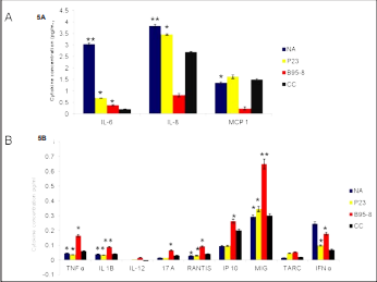 Cytokines response upon exposure to Virus and recombinant protein. Epstein Barr virus NA and p23-induced cytokine production. ARPE-19 cells were exposed to 10ng/ml of NA and p23 proteins for 72 h. Enzyme-linked immunosorbent  assay (ELISA array) was performed to detect cytokines in the cell culture supernatants. 5A & 5B: NA and p23 induced interleukin (IL)-6, IL-8 and MCP-1 secretion at a  highly significant level and TNF?, IL-1 ?, RANTIS, MIG to a significant level. B95-8 has caused increased expression of TNF?, IL-1?, IL-17A, RANTIS, IP-10, MIG and IFN?.  Data are represented as mean ± standard error of the mean (SEM) over the untreated control group. *p<0.05, ** p<0.001