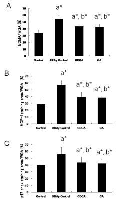 ECMA/WGA ratio at 22 weeks of age in renal cortex stained  with PAS (A), MCP-1 staining area/WGA ratio at 22 weeks of age in  renal cortex with immunohistochemical staining for MCP-1 (B), and  p47 phox staining area/WGA ratio at 22 weeks of age in renal cortex  with immunohistochemical staining for p47 phox (C). ECMA: PAS-stained extracellular mesangial matrix area; WGA: whole  glomerular area. Three glomeruli were randomly selected in each mouse, and  evaluation was performed for all mice in each group (i.e., n×3). a*,  b* indicates significant differences vs. control (C56BL/6J) and KKAy  control mice, respectively (P<0.001).