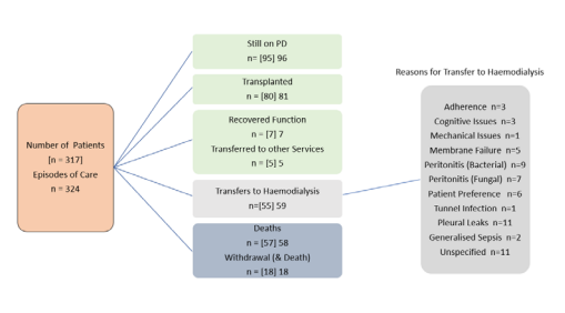 Outline of Progression of Care for all peritoneal dialysis patients and episodes of care including summary of reasons for those transferring to hemodialysis.