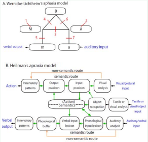 Diagrammatic models of aphasia and apraxia. A. Classical diagram  of the language system. Block labels: A, acoustic word image center (Wernicke’s  area); M, motor word image center (Broca’s area); B, concept center; a, auditory  input; m, verbal motor output. Lesion labels: 1, Broca’s aphasia; 2, Wernicke’s  aphasia; 3, conduction aphasia; 4, transcortical motor aphasia; 5, articulatory  disorder (aphemia); 6, transcortical sensory aphasia; 7, pure word deafness. B.  Diagrammatic model of limb apraxia. Modified from Heilman et al [26].