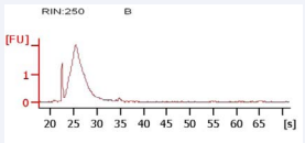 Sample B: Puros Allograft DBM Putty, No RNA.
