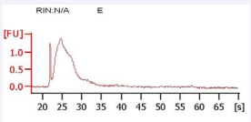 Sample E: Regenaform contains DBM and bone chips, No RNA.