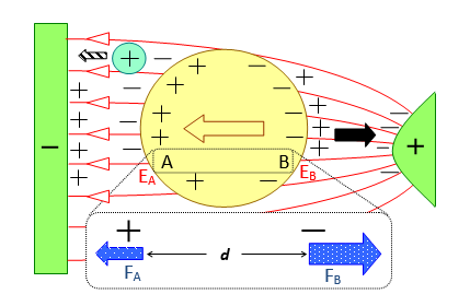 Figure 8: Nonuniform electic field and DEP. Dielectrophoresis: a neutral body (yellow circle) in a nonuniform electric field (red unfilled arrows) experiences a net force depending on the spatial distribution of electric field strength.  In this example, where the polarisability of the body is greater than the surrounding medium, it moves to the right (black arrow). A positive test charge (\\\ arrow) moves to the left according to the direction of the electric field flux.  Inset: charges at A and B displaced d apart interact with the electric field, EA and EB, generating Coulombic forces, FA and FB act in opposite directions (blue-filled white-dot patterned arrows), as shown.  The force at B is greater than at A, FB > FA, so the neutral body moves to the right (black filled arrow).