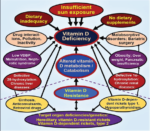 The top part of the figure illustrates the three common causes of vitamin D deficiency, interactions, and common conditions that are  likely to deteriorate with vitamin D insufficiency and deficiency. Bottom part (below the dashed line) of the figure highlights the rare genetic  abnormalities associated with vitamin D resistance and cause deficiency status and different types of rickets.