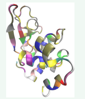 Figure 1 A cartoon depiction of lysozyme protein structure is shown.  Distinct colors represent different residues present in the protein.