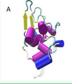 Figure 3 Comparing the protein structures: (A) initial structure