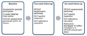 Study procedure